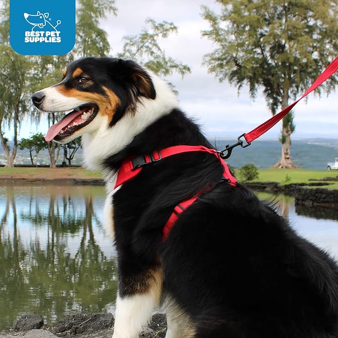 Voyager Step-in Pet Harness - All Weather Mesh, Adjustable Step in Harness for Cats and Dogs by Best Pet Supplies - Baby Blue, L