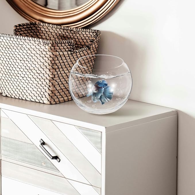 Baluue Round Glass Fish Bowl 5.90 in Clear Bubble Bowl for Fish Plants Flowers Shells and Crafts Compact Desktop for Home Office Shop Decor Centerpieces Terrarium