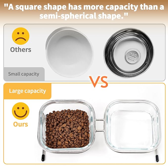 Hannadepot Elevated Cat Bowls, 15° Tilted Glass Raised Cat Food Bowl with Stainless Steel Stand, 2 Large Capacity Glass Cat Bowls and 4 Anti Slip Feet, Suitable for Cats and Little Dogs