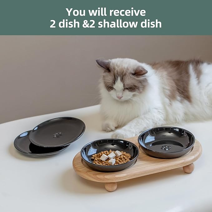 Havniva Elevated Cat Bowls, Ceramic Cat Food Bowl Whisker Friendly Cat Dishes, Kitten Food & Water Bowl with Two Heights Stand, Anti-Slip Raised Cat Food Plates