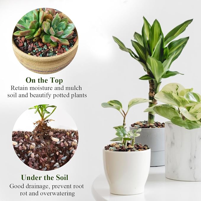 FANTIAN Succulent Cactus Soil Potting Mix, 10 lbs Pebbles for Plants | 5-8 mm Pumice Cactus Soil Potting Mix, Horticultural Lava Rock for Plants Drainage, Bonsai, Orchid, Terrarium, Garden