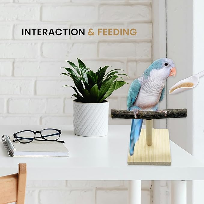 Portable Tabletop Bird Perch, Parrot Training Stand, Natural Wood Bird Play Stands for Parakeets Conures Finches Lovebirds or Cockatiels