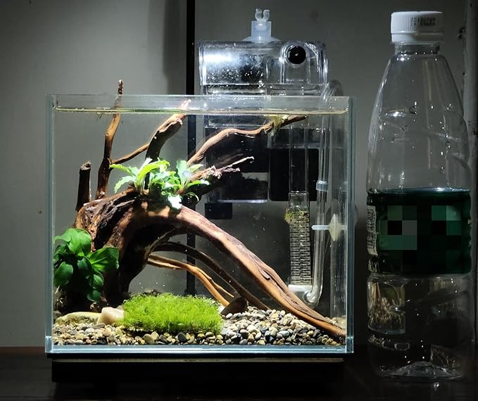 AWXZOM Small Nano Rimless Tank, Clear Glass Fish Tank, 1.1 Gallon, 7.8x5.5x5.9inch/20x14x15cm, Betta Fish Tank