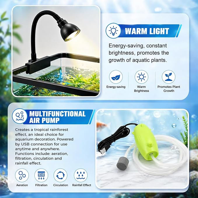 5 Gallon Fish Tank Starter Kit for Betta Shrimp Guppy & Neon Tetra | Clear AS Plastic Desktop Aquarium with Bottom Drain, LED Light, Air Pump, Lid, Fish Net, Aquatic Plants and Pebbles for Home