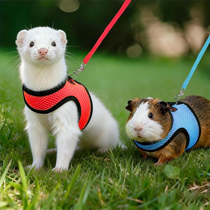 Rypet Small Animal Harness and Leash - Soft Mesh Pet Harness with Safe Bell, No Pull Comfort Padded Vest for Small Pet Red+Blue S