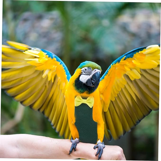 Balacoo Cockatiel Diaper Flight Suit Adjustable Bird Clothes with Protective Liner Comfortable Parrot Diaper for Small to Birds Bow Decor for Clean and Wear