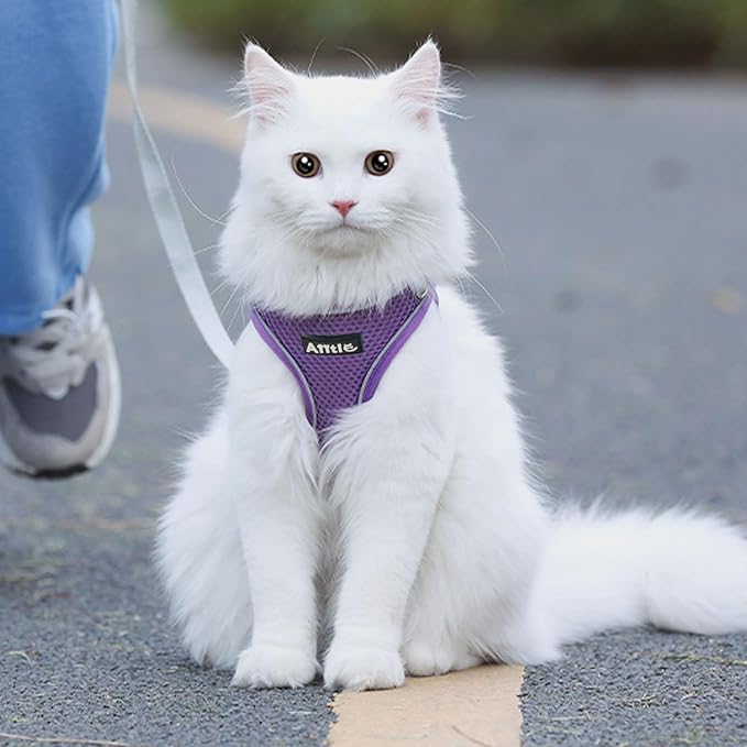 AIITLE Easy Walk Dog Harness and Leash Set - Pet Supply No Pull, Step in Adjustable Dog Harness with Padded Vest, Dog Harness No Choke Over, Easy to Put on Medium Dogs Pure Purple L
