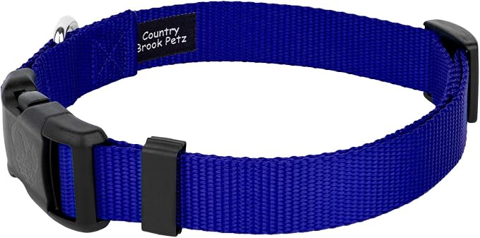 Country Brook Petz - Everyday Nylon Dog Collar and Leash - 10+ Cool Colors (3/4 Inch, Small, Bright Royal Blue)