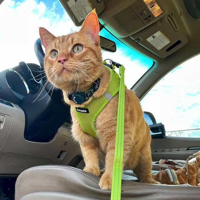 Best Pet Supplies Voyager Step-in Air All Weather Mesh Harness and Reflective Dog 5ft Leash Combo with Neoprene Handle, for Small, Medium and Large Breed Puppies - Lime Green, X-Large