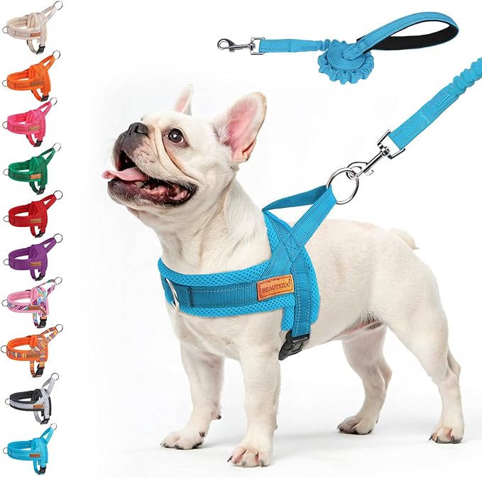 BEAUTYZOO No Pull Dog Harness Medium Sized Dog, Breathable Mesh Padded Dog Harness and Leash Set, Adjustable Reflective Escape Proof Dog Vest Harnessss Quick Fit for Training Walking, Blue M