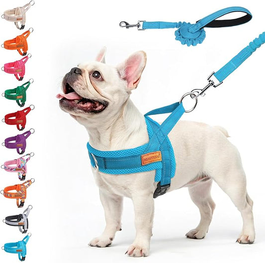 BEAUTYZOO No Pull Dog Harness Medium Sized Dog, Breathable Mesh Padded Dog Harness and Leash Set, Adjustable Reflective Escape Proof Dog Vest Harnessss Quick Fit for Training Walking, Blue M