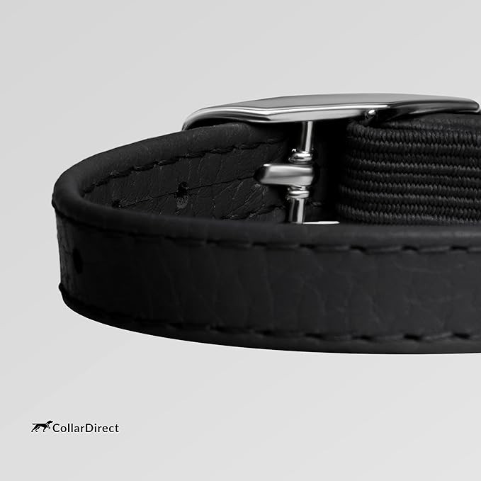 CollarDirect Leather Cat Collar with Removable Bell – Safety Elastic Strap (Breakaway Alternative) – Kitten Collar for Small & Big Boy & Girl Cats