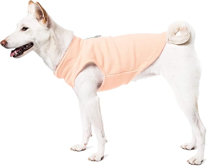 Gooby Fleece Vest Dog Sweater - Lime, Large - Warm Pullover Fleece Dog Jacket with O-Ring Leash for Small to Medium Dogs