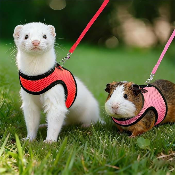 Rypet Small Animal Harness and Leash - Soft Mesh Pet Harness with Safe Bell, No Pull Comfort Padded Vest for Small Pet red + Pink S