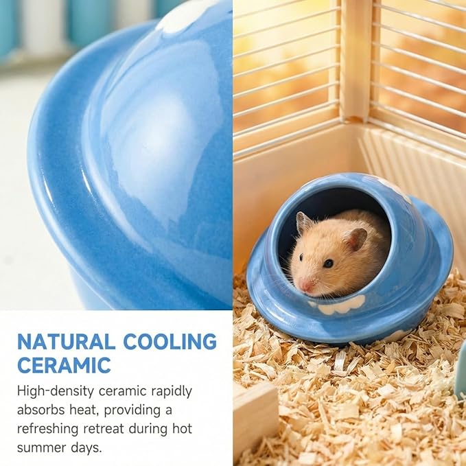 Ceramics Hamster Hideout Planet-Shape Guinea Pig Bed Cute Cool Summer Cage for Small Animal Dwarf, Gerbil, Squirrel (Blue)