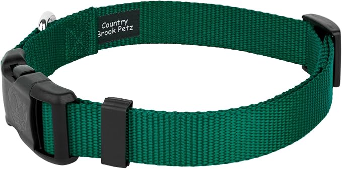 Country Brook Petz - Everyday Nylon Dog Collar and Leash - 10+ Cool Colors (3/8 Inch, 3XS, Green)