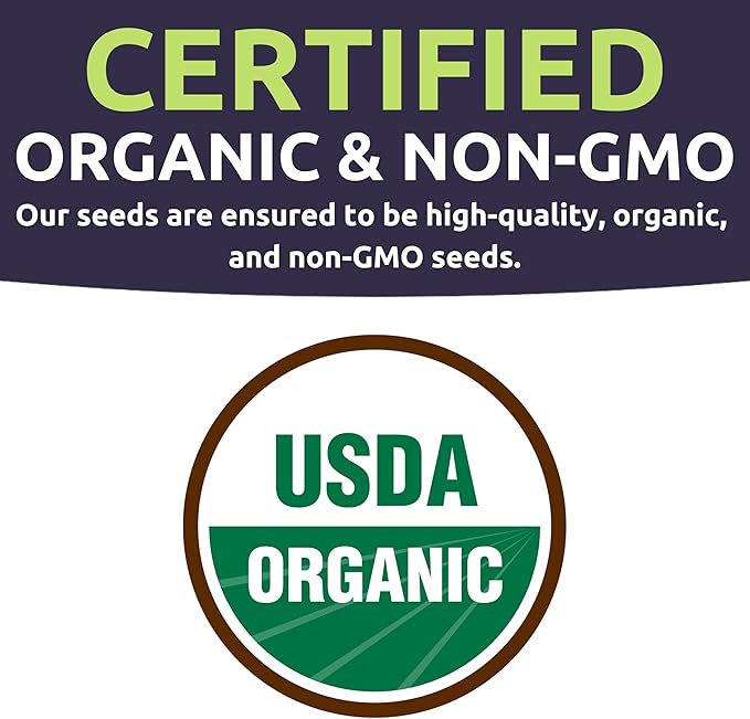 Organic Rainbow Blend Pumpkin Seeds – Two Seed Packets! Over 15 Open Pollinated Non-GMO Seeds – Sweet Yards Seed Co.