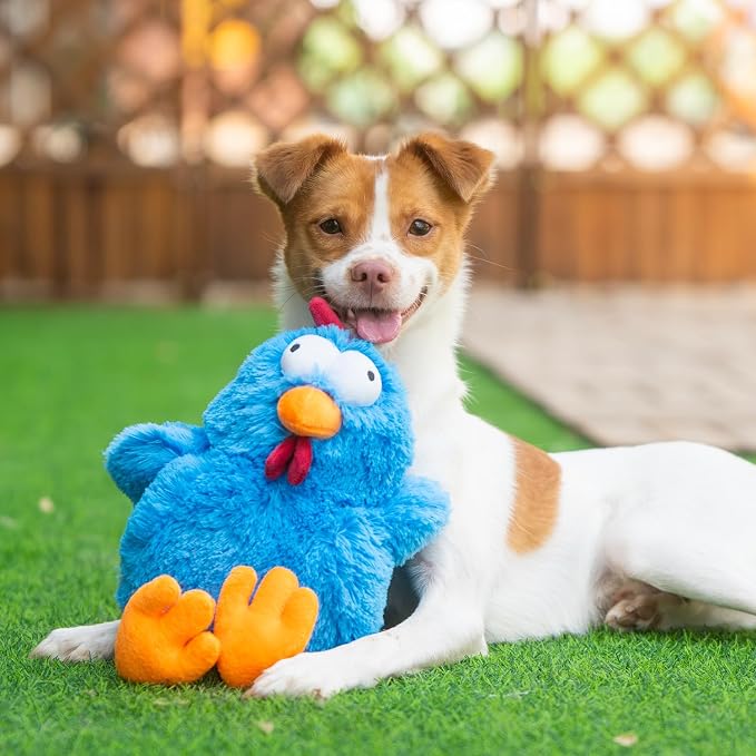 Best Pet Supplies Squeaky Dog Toys with Soft Durable Fabric for Small, Medium and Large Pets Interactive Toy for Indoor Play, Supports Active Biting and Play - Mrs. Cluck (Blue)
