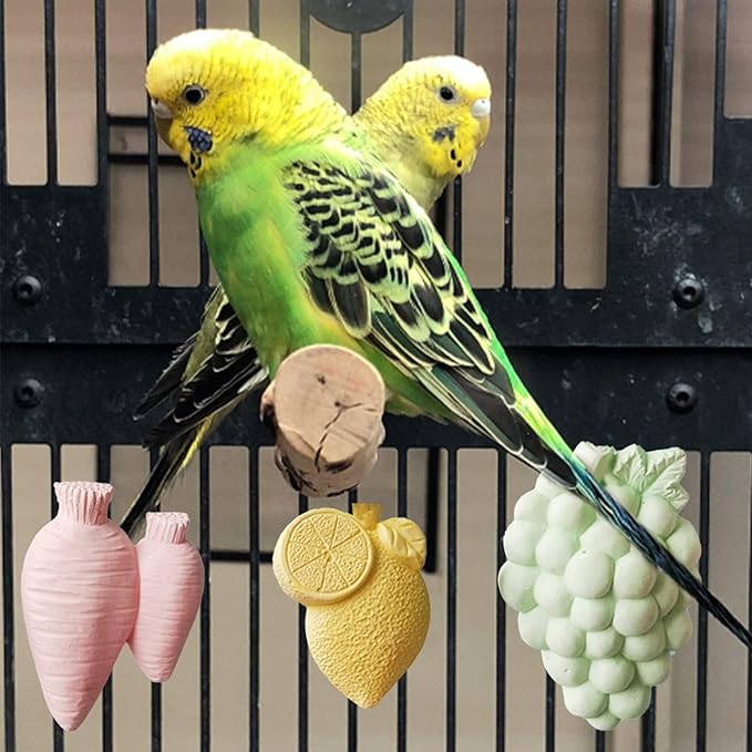 Parrot Bird Chewing Toy, 6Pcs Colorful Different Fruit Styles Parrot Teething Stone Toy, Parrot Beak Grinding Calcium Stone, Bird Cage Accessories for Parrot Rabbit Bunny Hamster, chinchilla (6pcs)