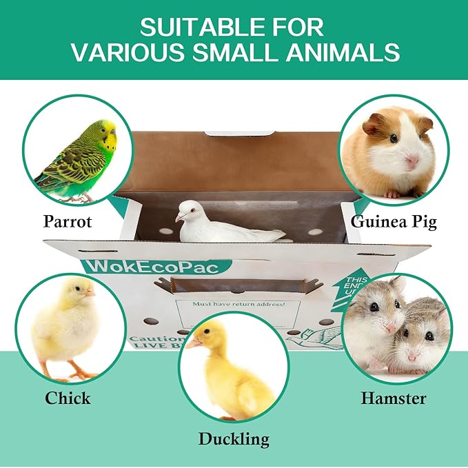 12 Pack Single Live Bird Shipping Boxes, Live Chicken Shipping Boxes, Poultry Shipping Boxes has Ventilation Openings, Cardboard Pet Carrier for Chicken, Bird, Duck, Pigeons, Canaries 17.7x7.8x11.8 in