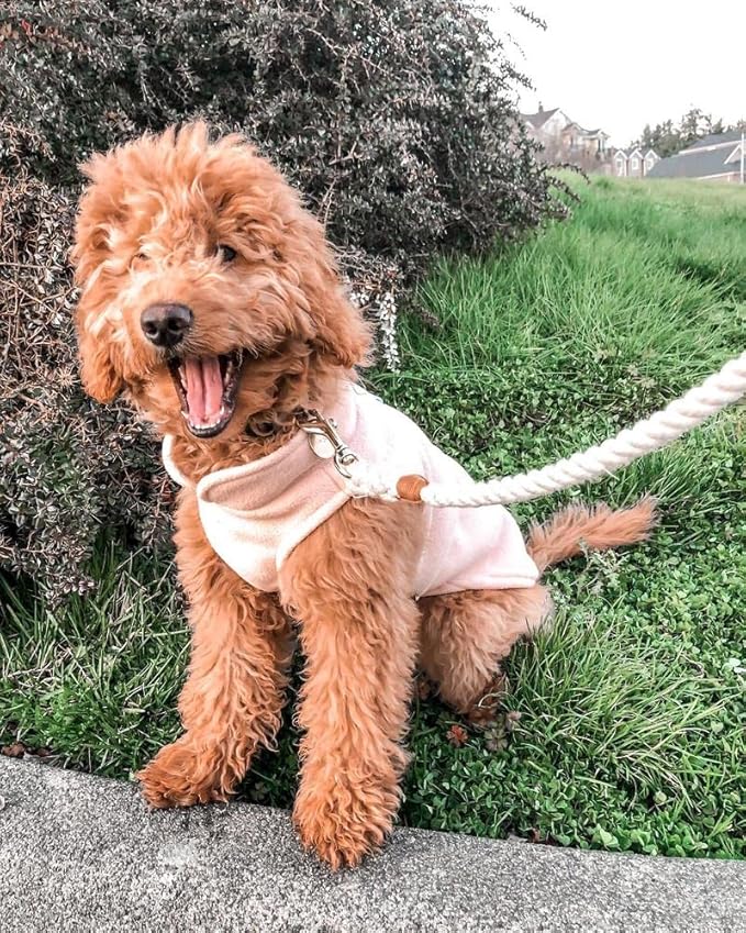 Gooby Fleece Vest Dog Sweater - Lime, Large - Warm Pullover Fleece Dog Jacket with O-Ring Leash for Small to Medium Dogs