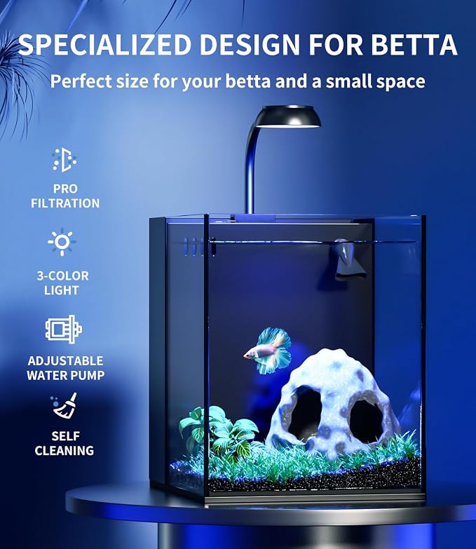 2 Gallon Glass Fish Tank Kit with Hidden Filtration Light Lid Rimless | Black Background, Dry-wet Separation Filtration, Self-cleaning, Ultra-quiet, Adjustable Water Flow, for Betta Shrimp Guppy