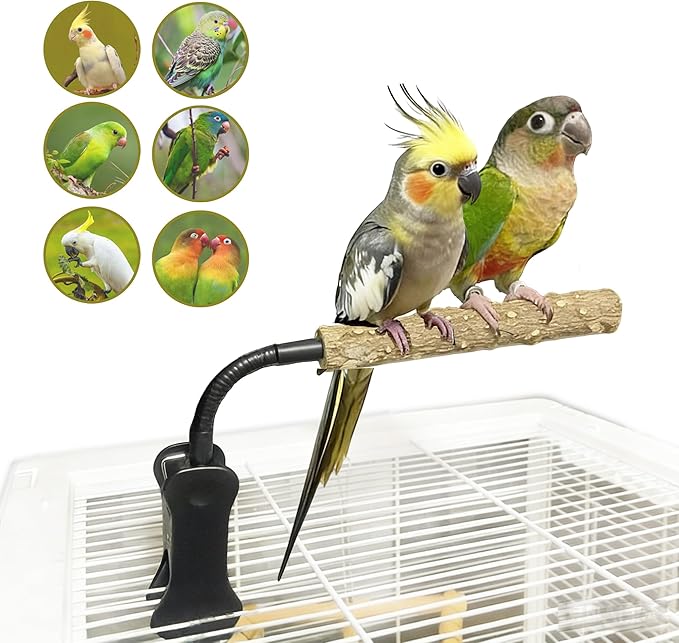 Parrot Bird Perch Stand with Clip,Adjustable & Portable Parrot Stand,Bird Training Stand for Cockatiels, Conures, Lovebirds and Medium & Small Parrots(Rough)