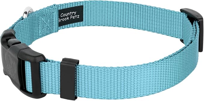 Country Brook Petz - Everyday Nylon Dog Collar and Leash - 10+ Cool Colors (3/8 Inch, Extra Small, Ocean Blue)