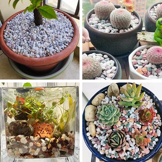 500G/ 1.1LB Succulent Rocks, 0.3-0.8Inch Horticultural Grit for Indoor Plant Decoration, Natural River Stones for Cactus, Decorative Gravel for Landscaping, Aquariums, Bonsai, Vases Fillers(Mixed)