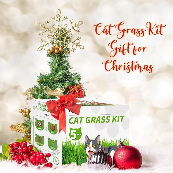 5Pack Cat Grass Seeds Kit - Cat Grass Seeds Growing Set for Indoor Cats, Non GMO Wheat Seed, Nutrient Soil & Planting Tools, Quick Germination, Perfect for Beginners