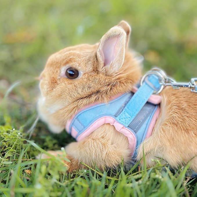 Rabbit Harness and Leash Set Escape Proof, Adjustable Soft Padded Vest, Breathable Mesh Bunny Harness with Reflective Strap, Safe for Small Animals(Pink,S)