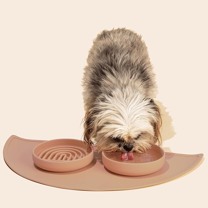 Should We Go? Slow Feeder for Dogs & Cats, The Slowdown Bowl Silicone Slow Eating Mealtime Solution with Modern Lick Mat Design, Reduces Gulping, Fits 1 Cup, 6” Across x 1.25” Tall, Small-Blush