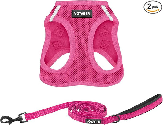 Best Pet Supplies Voyager Step-in Air All Weather Mesh Harness and Reflective Dog 5ft Leash Combo with Neoprene Handle, for Small, Medium and Large Breed Puppies - Fuchsia, XX-Small