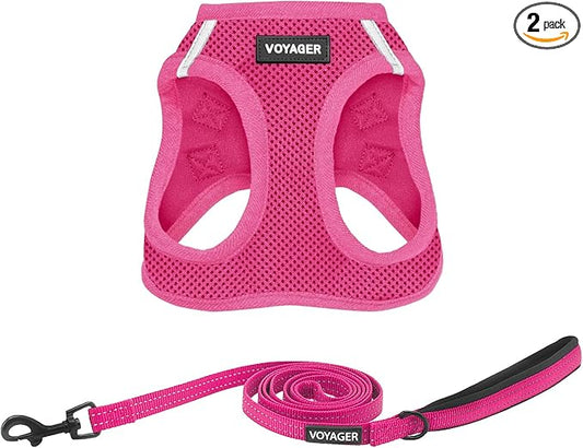 Best Pet Supplies Voyager Step-in Air All Weather Mesh Harness and Reflective Dog 5ft Leash Combo with Neoprene Handle, for Small, Medium and Large Breed Puppies - Set (Fuchsia), XXX-Small