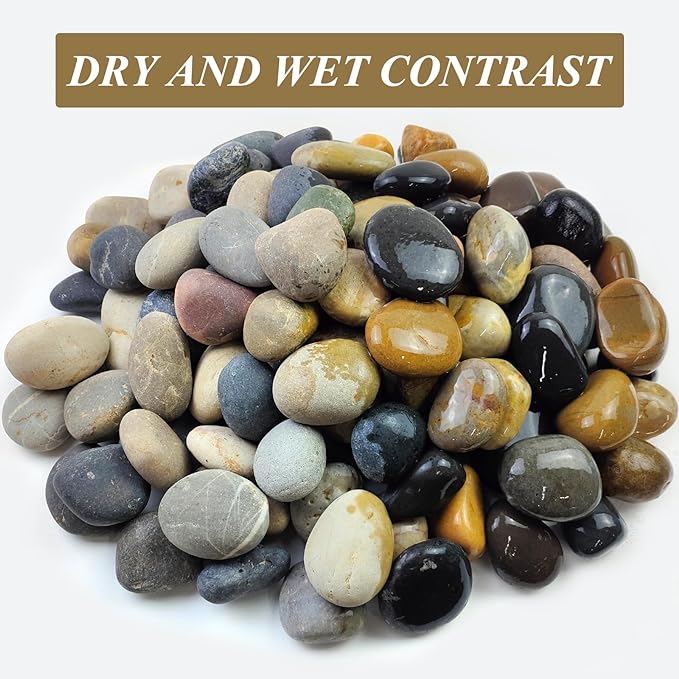 FANTIAN 10 lbs River Rocks, 2-3 Inch Natural Pebbles for Plants | Decorative Rocks Stones for Landscaping, Garden, Indoor Plant, Aquarium, Backyard, Water Fountains, Walkway