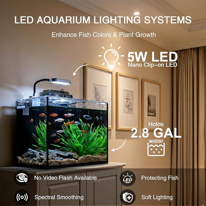 2.5 Gallon Betta Fish Tank, Small Aquarium Kit,Glass Small Fish Tank,Betta Fish Tank with a lid and Light and Filter, Small Transparent Glass Fish Tank with Light and Filter (Black Glass Background)