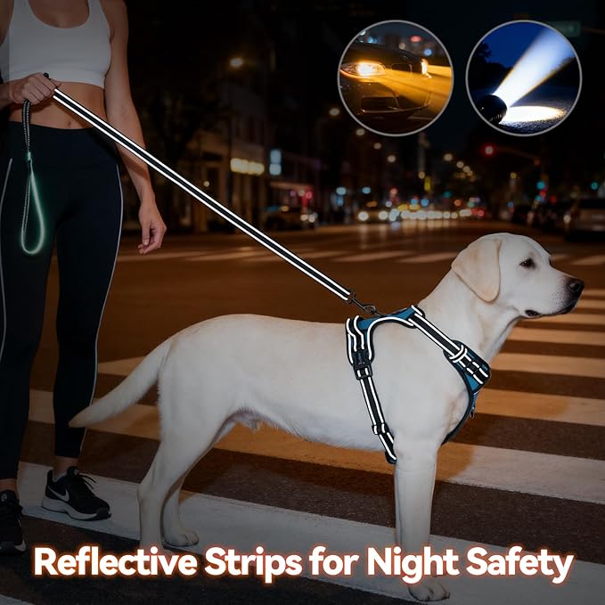 PHOEPET No Pull Dog Harnesses for Small Puppies Reflective Adjustable Front Clip Vest with 2 Metal Leash Attachment Hooks Soft Handle(S, Blue)