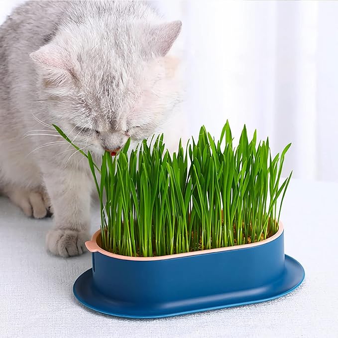 Cat Grass Planter (No Seeds Included) Hydroponic Wheatgrass Planting Trays Cat Grass Growing Kits for Indoor Cats Soilless Organic Nursery Box Pet Grass Pot (Pink)