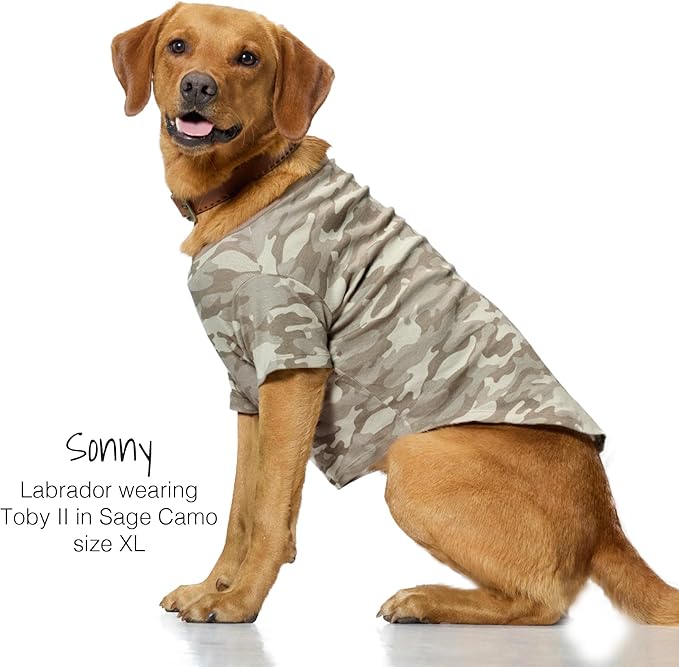 Pet Passion Toby II - The Perfect Tee, 3 Pack Short Sleeve Pet T-Shirt 100% Organic Cotton Tees Clothes for Small, Medium, Large Dogs, Sage Camo, Large (40-60 lbs)
