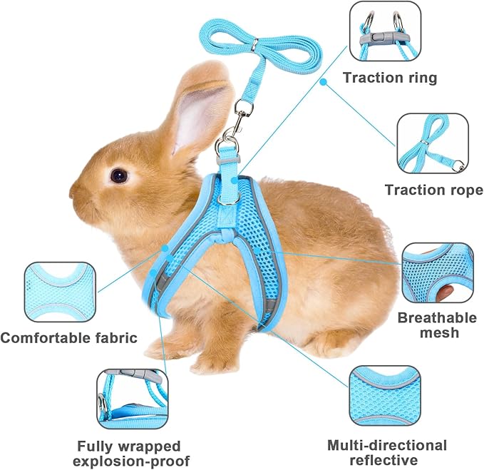 PETKNOWS 2 Pack Rabbit Harness and Leash Set, Double Buckle Bunnies Harness with Reflective Strips Soft Breathable Mesh Vest Harness for Rabbits Walks Accessories(Blue and Black)