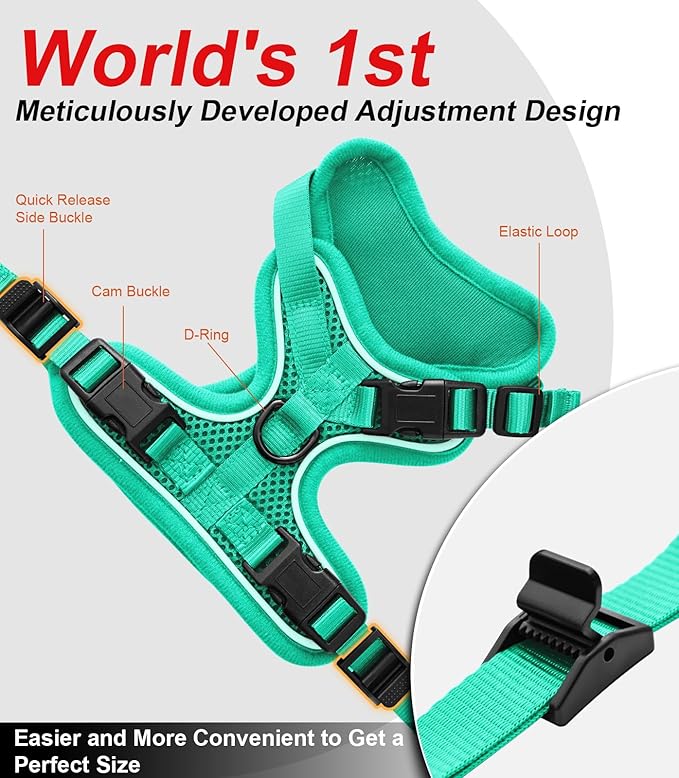Cat Harness and Leash for Walking Escape Proof Soft Adjustable Cat Leash Breathable Comfortable Vest Easy to Wear Kitten Harness for Outdoor Travel (Emerald, XS (4-6lb))