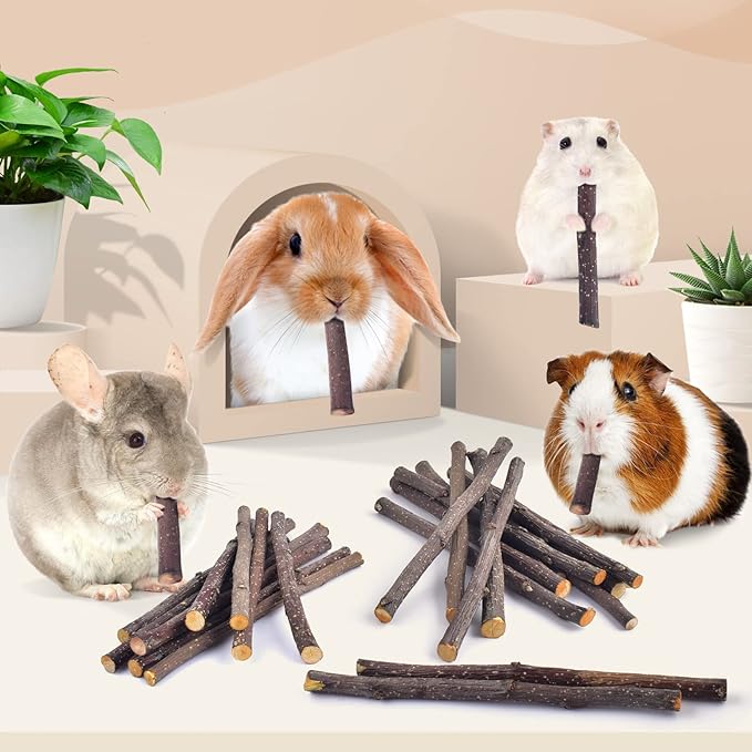 Bissap Apple Sticks for Rabbits, Natural Bunny Chew Toys and Treats for Chinchilla Guinea Pig Hamster Gerbil Small Animals Pet Apple Wood Stick Toys Teeth Grinding (940g/2lb)