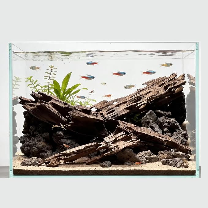 4 Pcs Natural Aquarium Driftwood Shrimp Wood, 3.94-5.91" (10-15cm) Assorted Branches & Trunk, Terrarium Ornament & Habitat Decor for Fish, Shrimp and Reptiles
