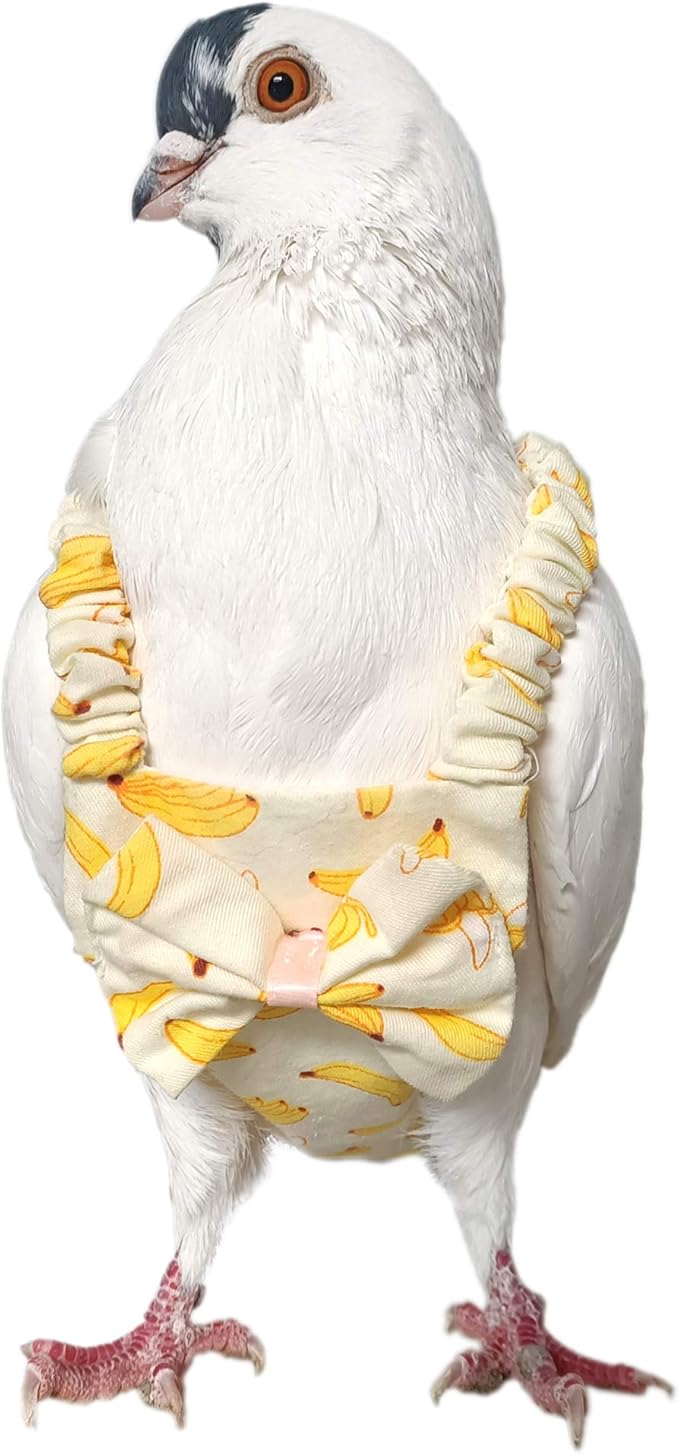 Pigeon Diaper with Leash for Pigeons over 5 Months Old