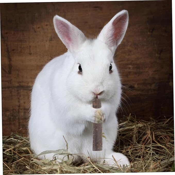 Yardwe 200G Apple Branch Chew Stick for Hamsters Rabbits Pets Interactive Teeth Grinding for Health Fun Natural Wooden Molar Stick