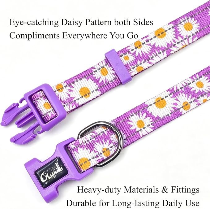 Dog Collar Leash Set, Floral Pattern, with Safety Reflective Strips, 5 ft Matching Leash, Neoprene Padded Handle, Adjustable 4 Sizes for Small Medium Large Dogs.(XS, Purple Daisy)