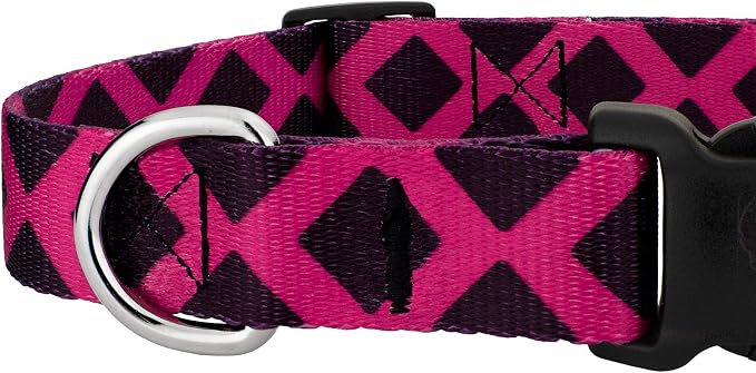 Country Brook Petz - Deluxe Fabulous Lattice Collar and Leash Limited Edition - Plaid and Argyle Collection Featuring Charming Designs (5/8 Inch, Small)