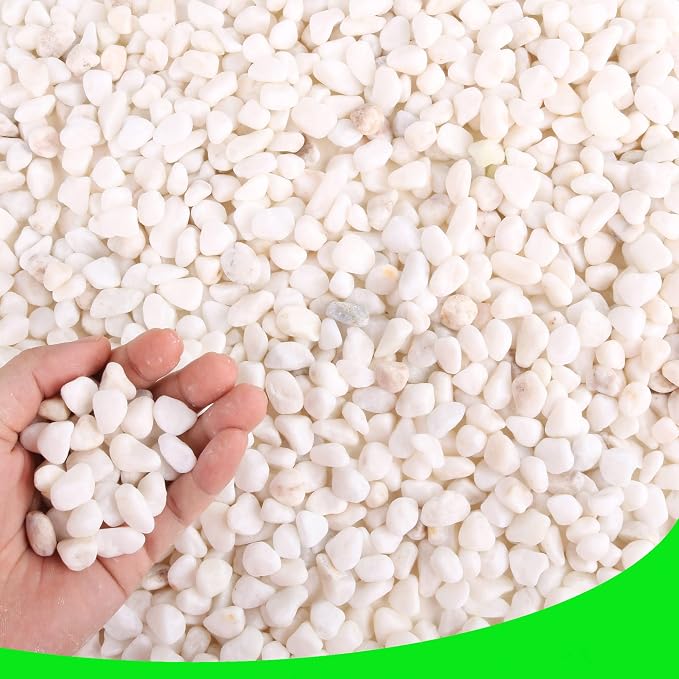 Decorative Garden Pebbles, 3 LB Natural White Rocks for Indoor & Outdoor Planters, Walkways, Vase Fillers & Landscaping Décor – Multiple Sizes & Colors