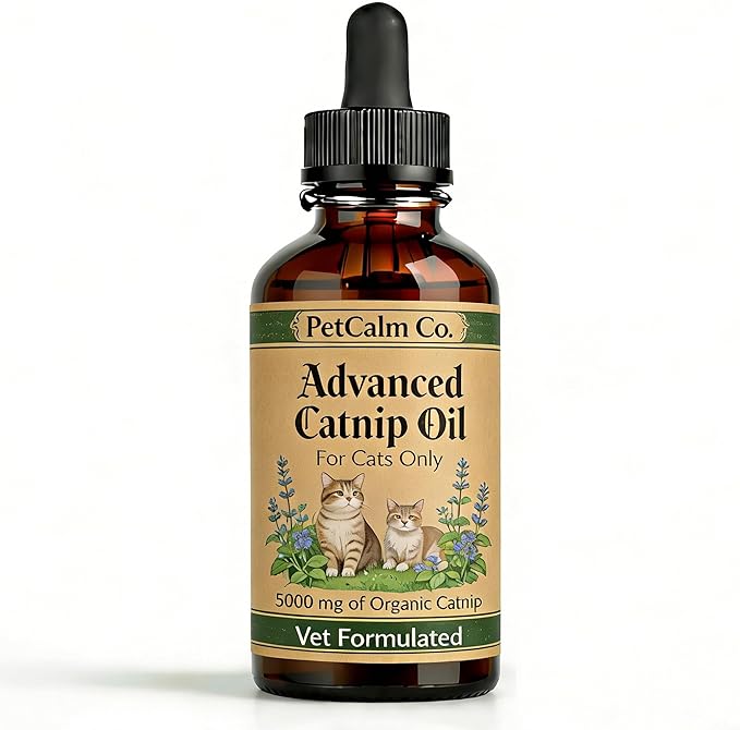 PetCalm Co Advanced Catnip Oil - 5000 mg Catnip, Vet Formulated, for Cats Only, Cat Relaxation Supplement (2.1 fl oz)