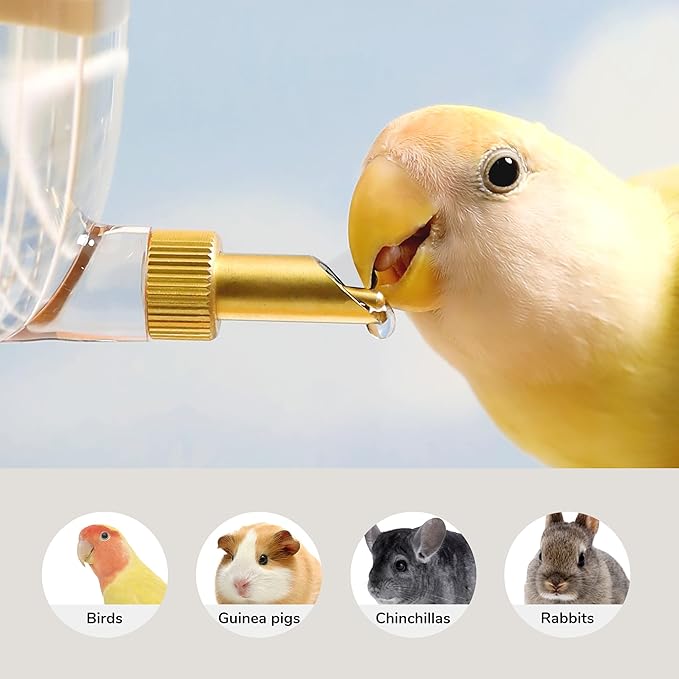 Leak-Proof & Chew-Proof Hanging Water Dispenser No Drip for Birds, Chinchillas, Guinea Pigs, Ferrets, Rats, Rabbits, Bunnies, Parrots, Squirrels, and Other Small Animals - Green, 12oz